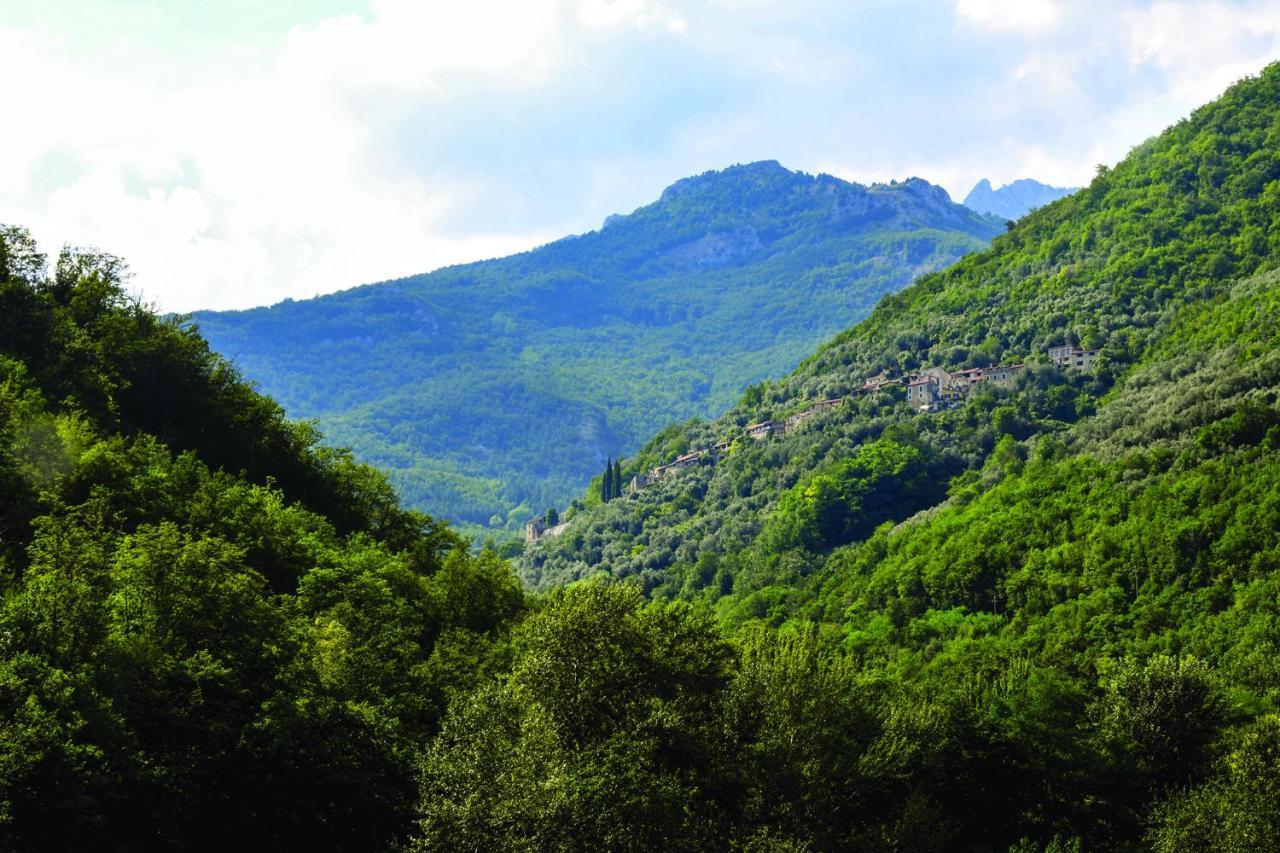 Agriturismo Nonnamelia Nasino Εξωτερικό φωτογραφία
