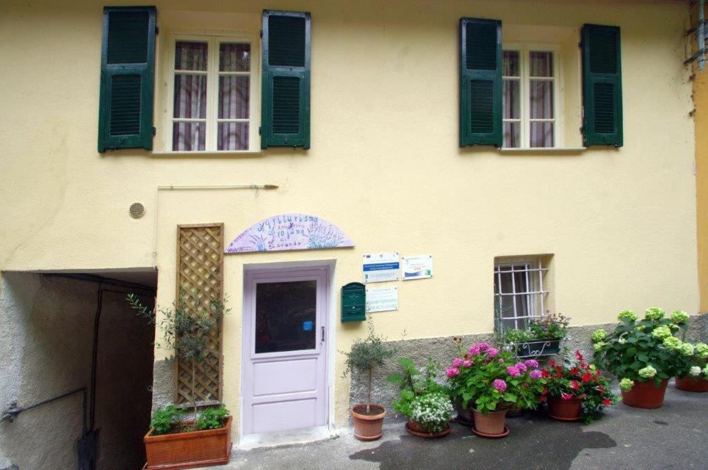 Agriturismo Nonnamelia Nasino Εξωτερικό φωτογραφία