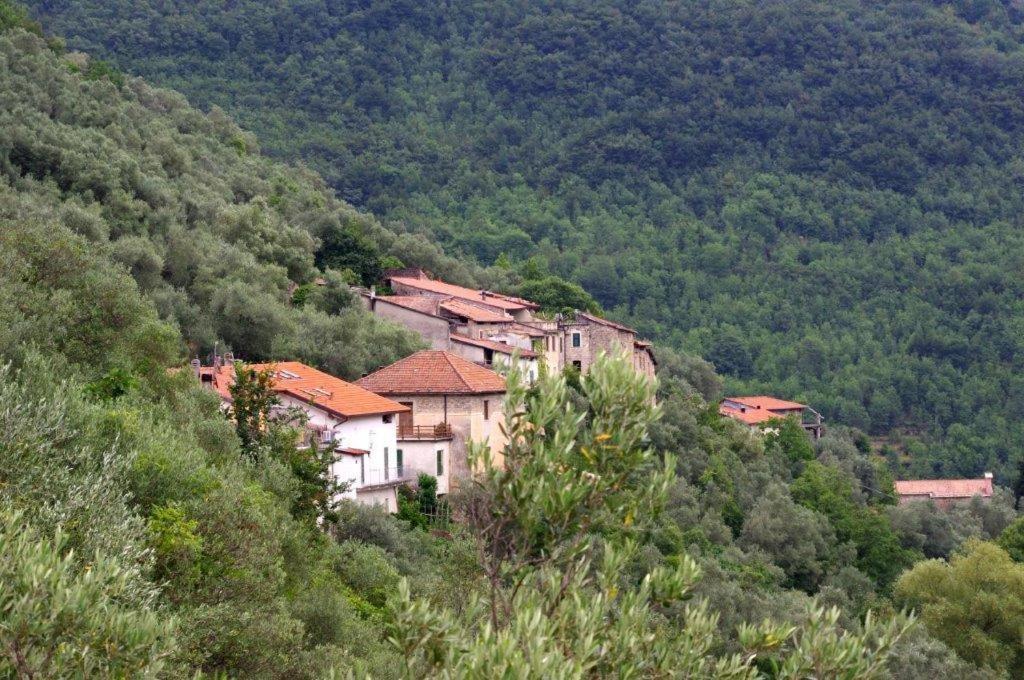 Agriturismo Nonnamelia Nasino Εξωτερικό φωτογραφία